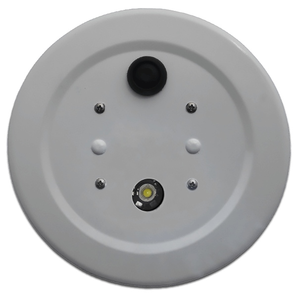 Fly-Lite installed in a wing inspection panel